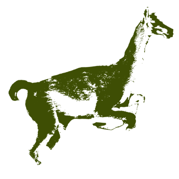 PIM Guanaco Icon